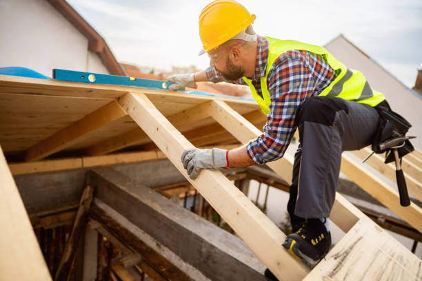 Best Roof Gutter Cleaning  in Stro Valley, CA